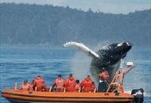 The Ultimate Day Tour